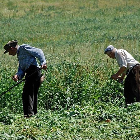 Turisme Rural Lo Palle De Cal Bosch Llagunes 외부 사진
