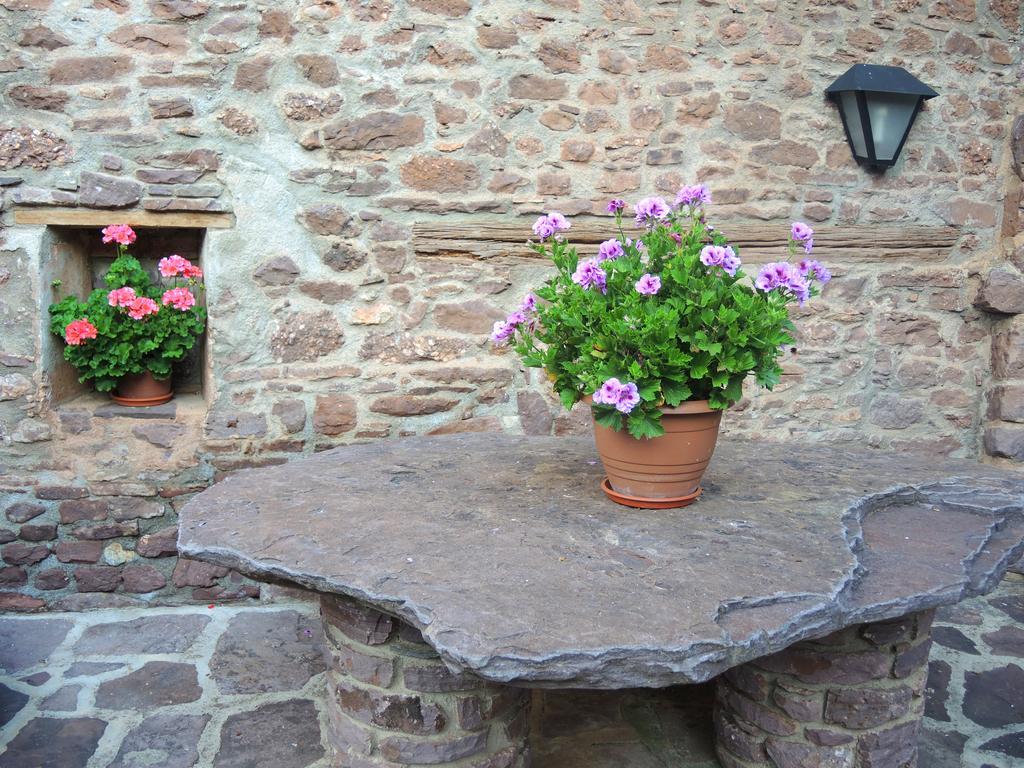 Turisme Rural Lo Palle De Cal Bosch Llagunes 외부 사진