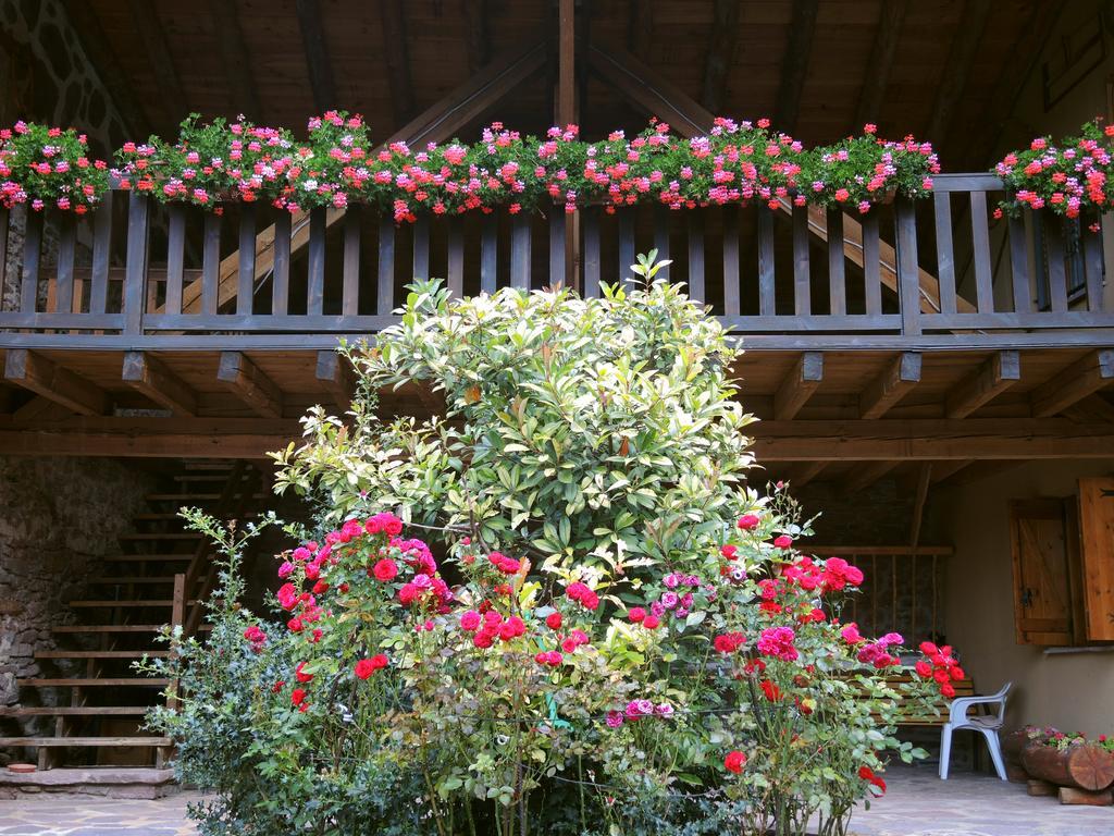 Turisme Rural Lo Palle De Cal Bosch Llagunes 외부 사진