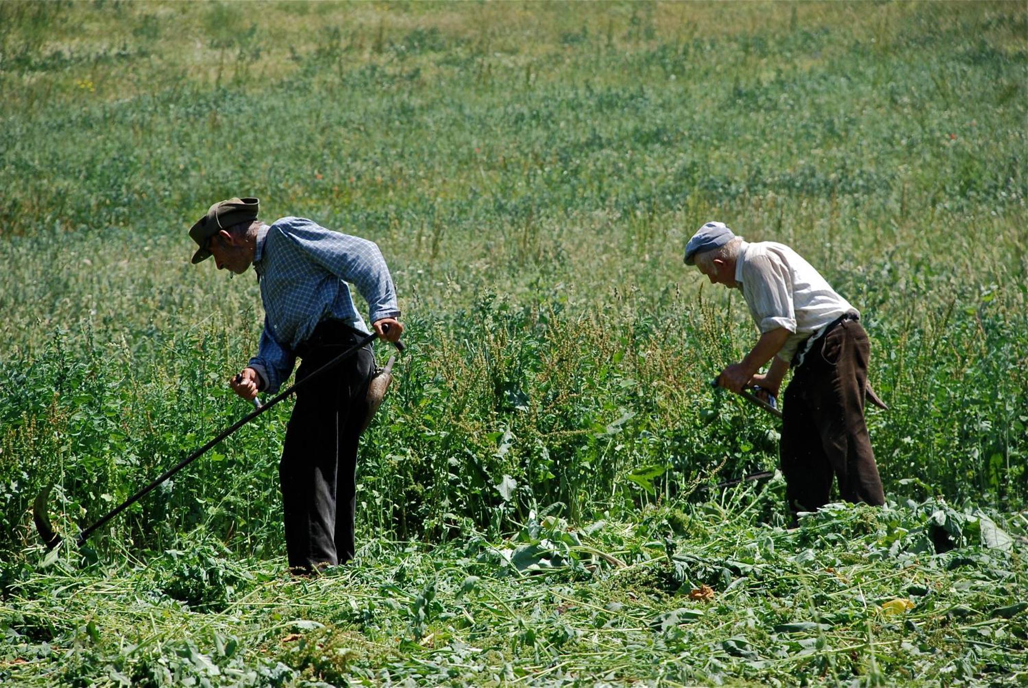Turisme Rural Lo Palle De Cal Bosch Llagunes 외부 사진