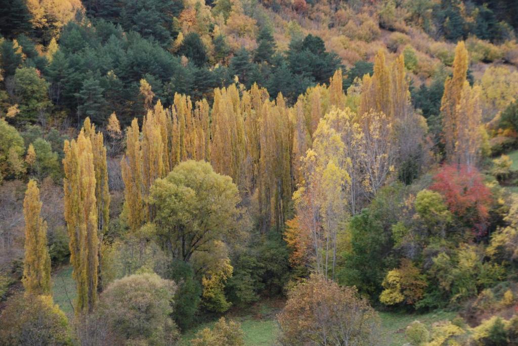 Turisme Rural Lo Palle De Cal Bosch Llagunes 외부 사진