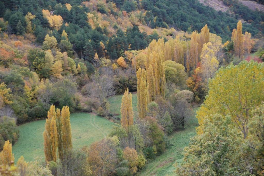 Turisme Rural Lo Palle De Cal Bosch Llagunes 외부 사진