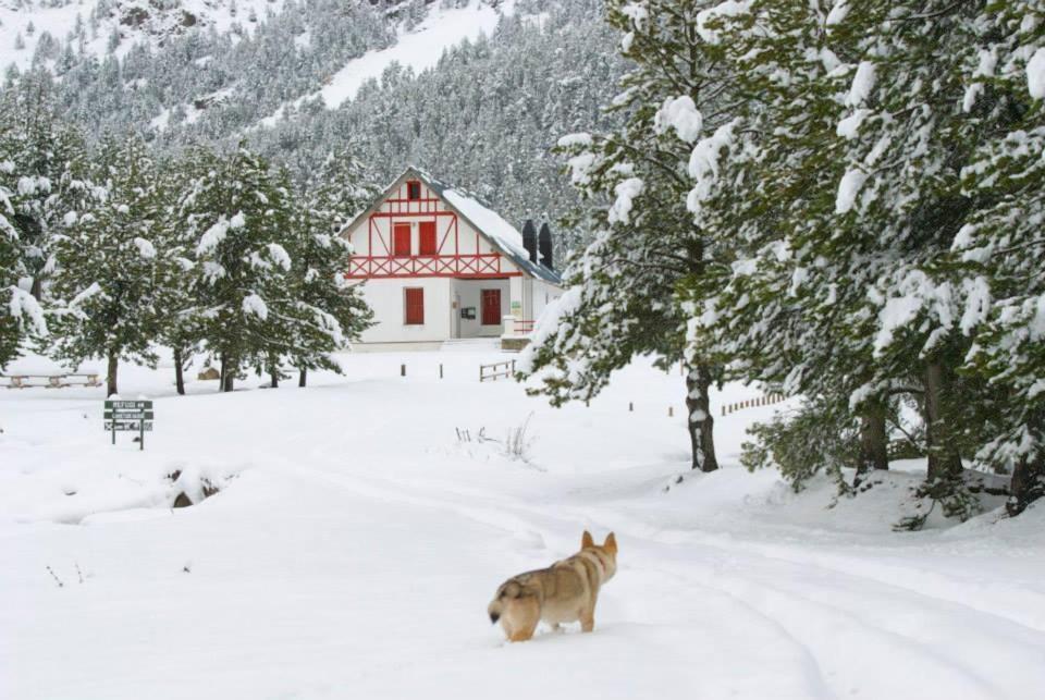 Turisme Rural Lo Palle De Cal Bosch Llagunes 외부 사진