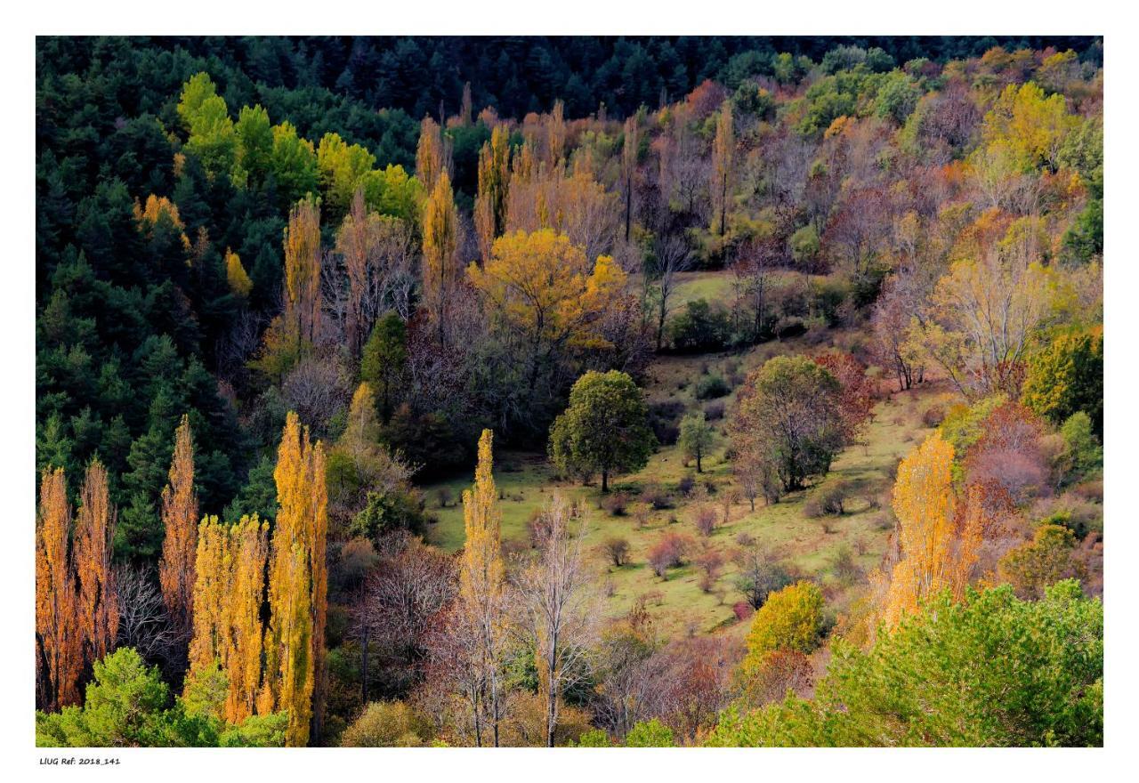 Turisme Rural Lo Palle De Cal Bosch Llagunes 외부 사진